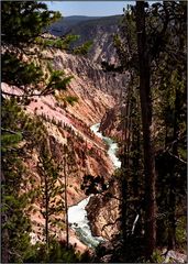 The Grand Canyon of the Yellowstone