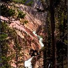 The Grand Canyon of the Yellowstone