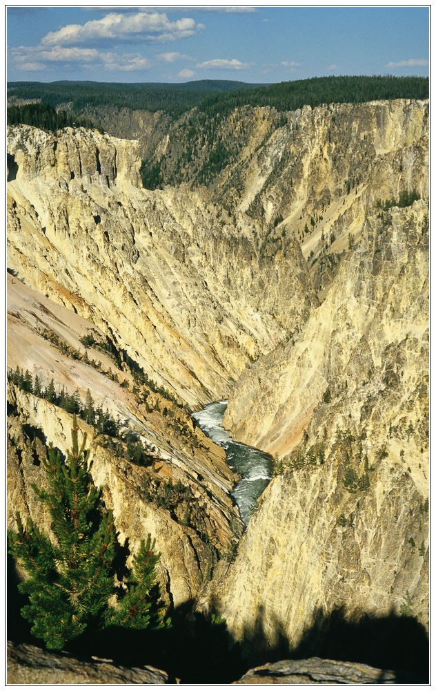 The Grand Canyon of the Yellowstone