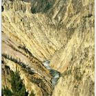 The Grand Canyon of the Yellowstone