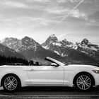 The Grand Teton Tour on a white Mustang s/w