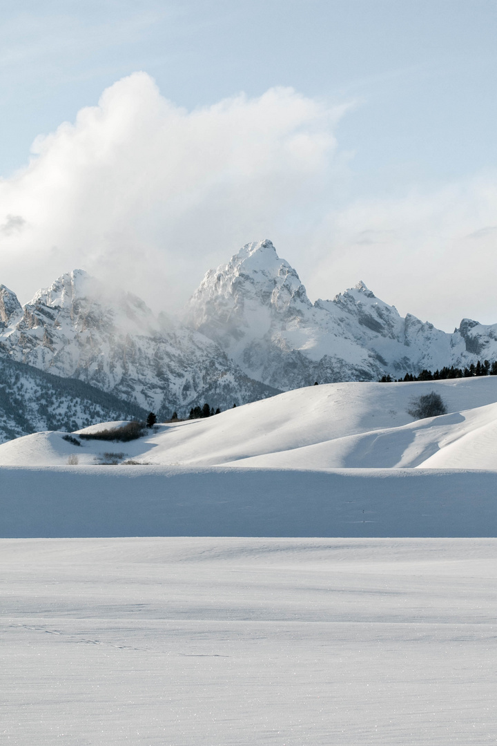 The Grand Tetons