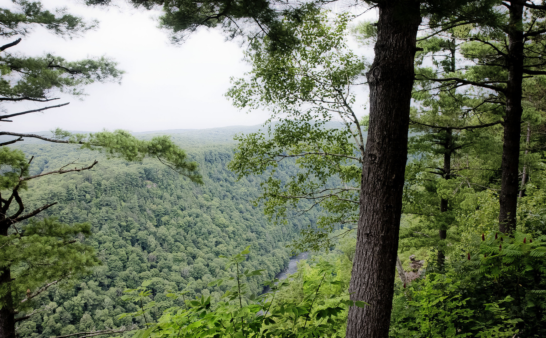 THE GREAT CHASM OF PENNSYLVANIA photo & image valleys, u.s.a, nature