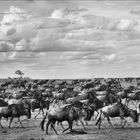 The Great Migration