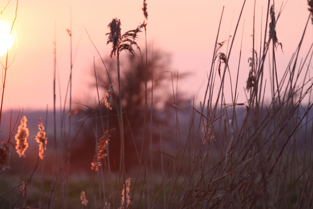 the great ouse at sunset