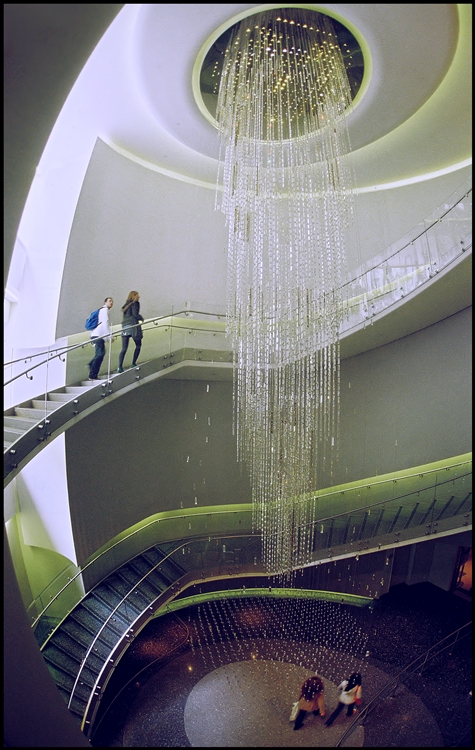 the great shower - NYC