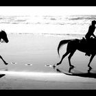 The greatest happiness on earth is sitting in the saddle of a horse