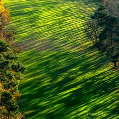 The Green