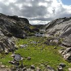 the green and the Rocks