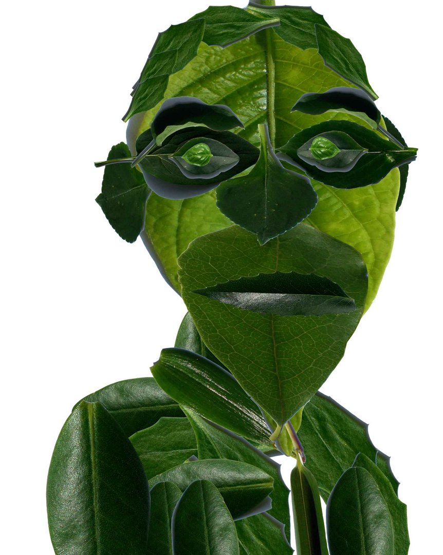 The green Barack Obama