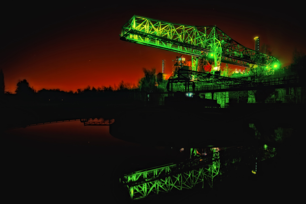 The green crocodile at night