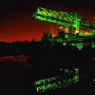 The green crocodile at night