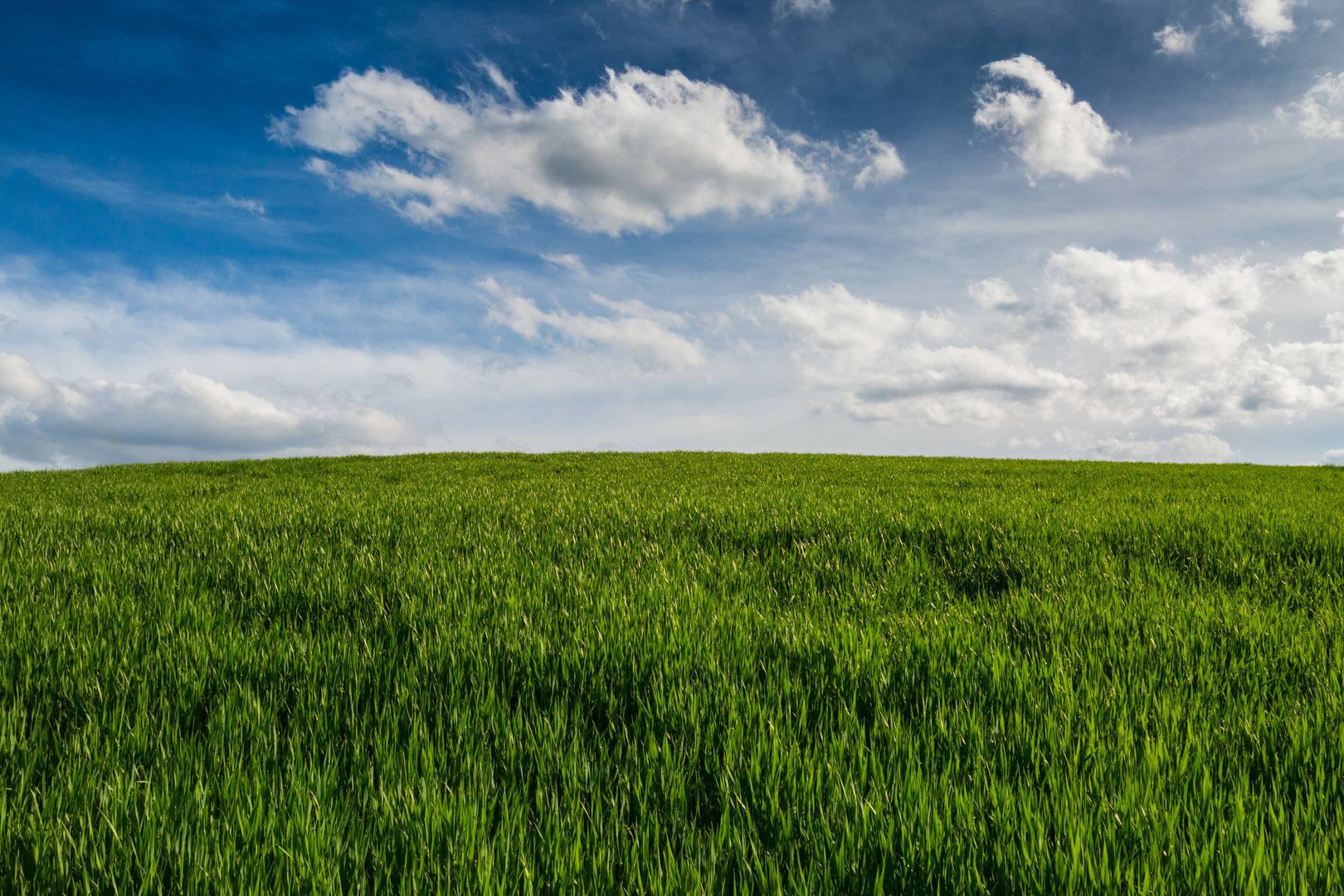 The green Field