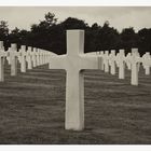 The Green Fields of france / No Man's Land