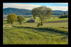 The Green Grass of Home