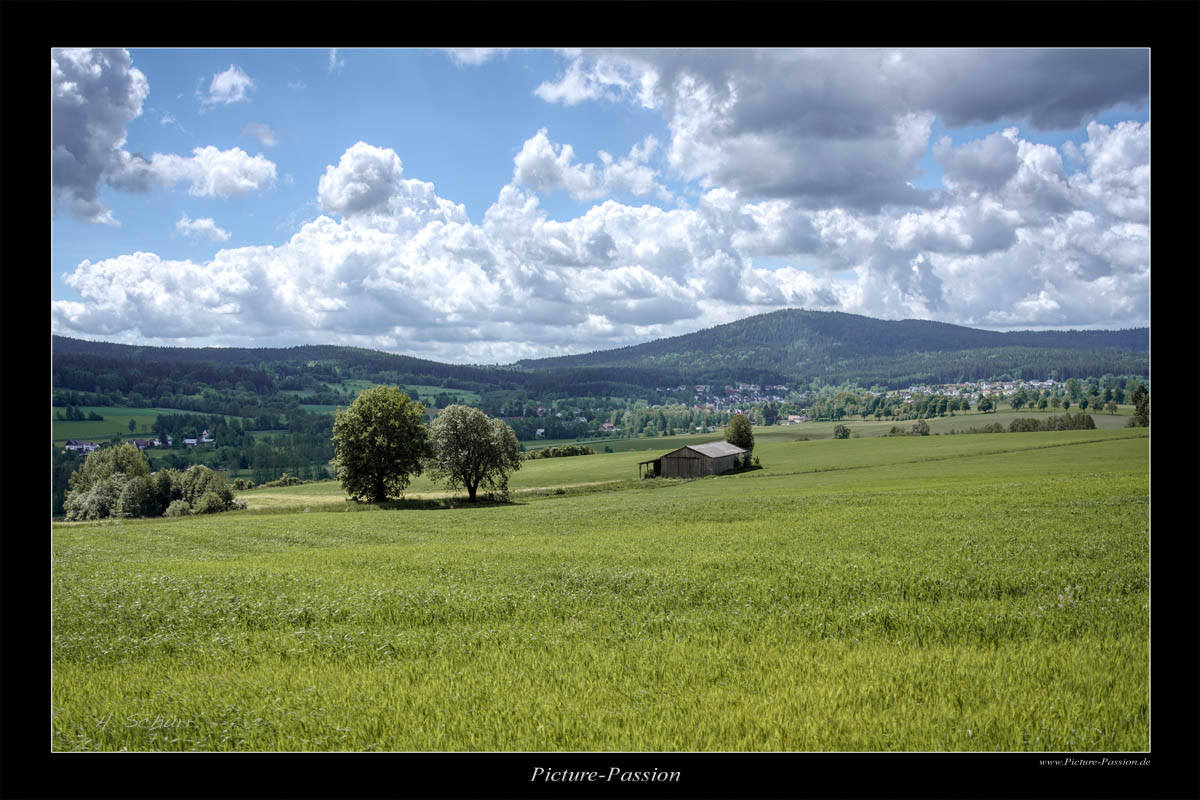 The Green Grass of Home