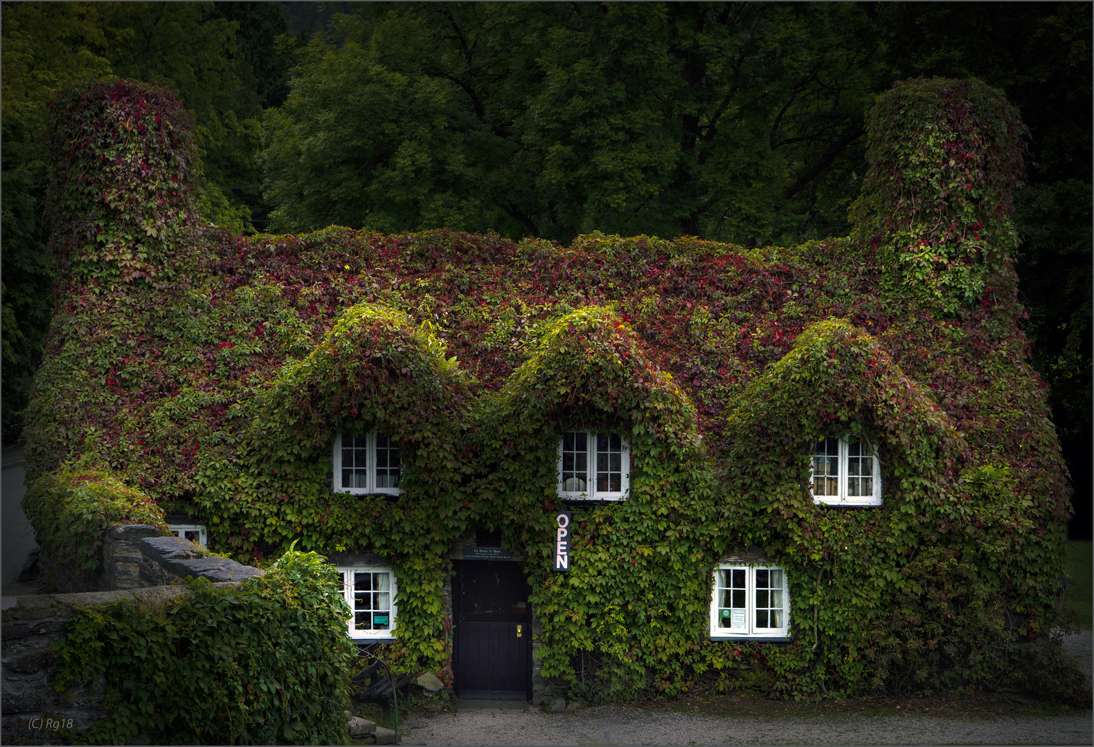 the green house 