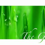 The Green III