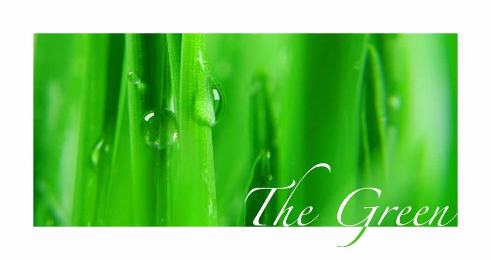 The Green III