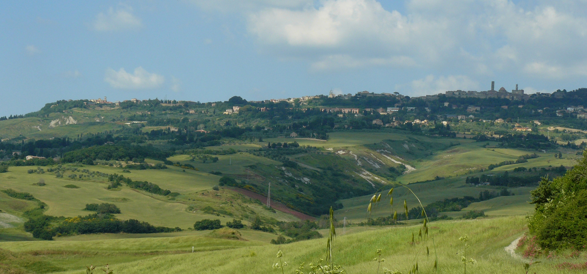 The green in Toscana