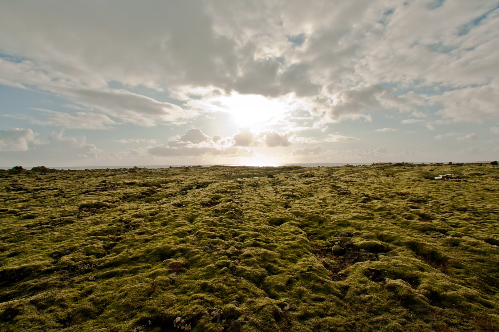 The "Green" of iceland