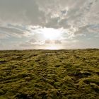 The "Green" of iceland