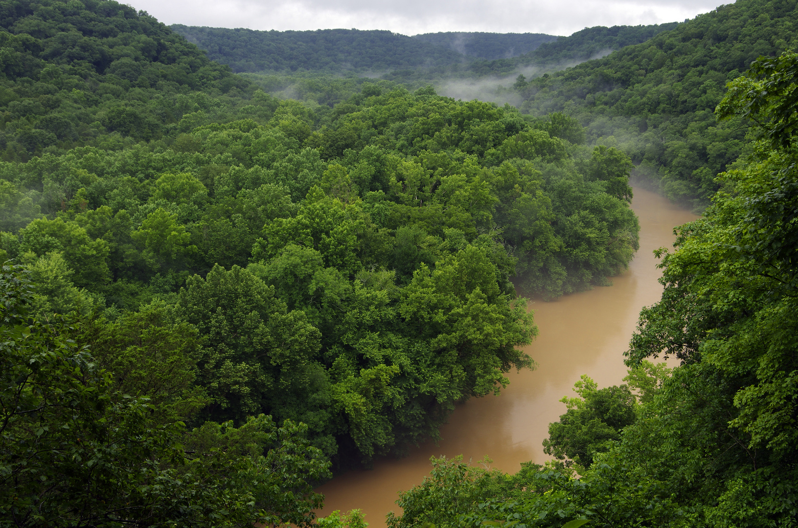 The Green River (in Mammoth Cave N.P., Kentucky)
