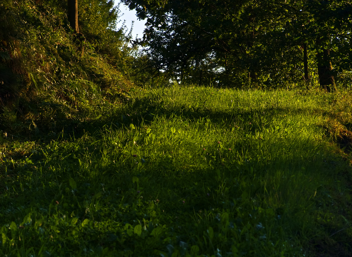 the green way of easy going II