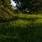the green way of easy going II