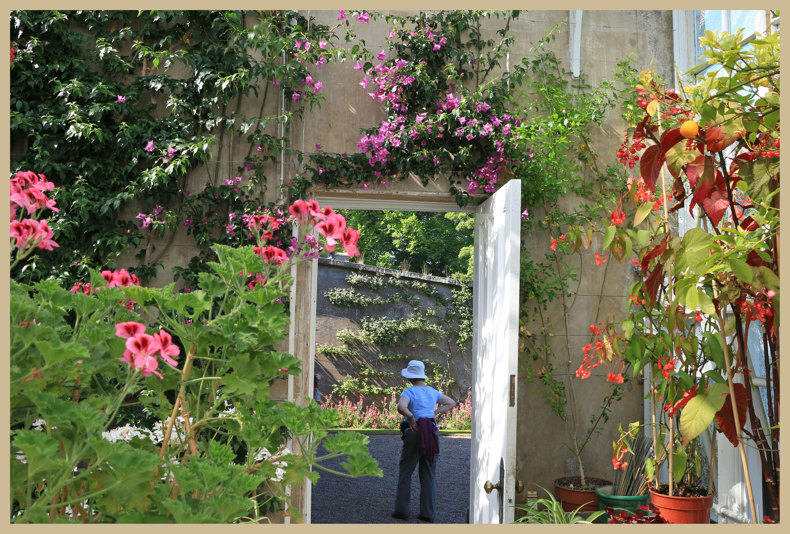 the greenhouse at lilburn tower 3