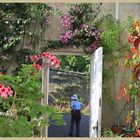 the greenhouse at lilburn tower 3