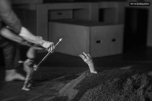 The Greenhouse, BildspracheTANZ