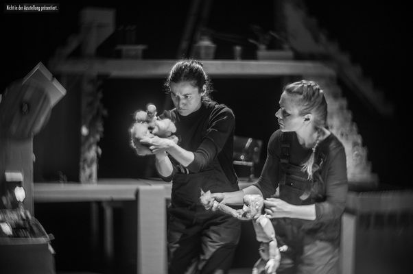 The Greenhouse, BildspracheTANZ