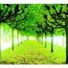 The Greenmile