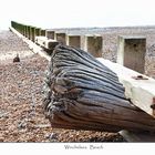 ~ The Groynes of Winchelsea Beach ~