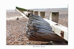 ~ The Groynes of Winchelsea Beach ~