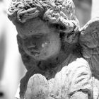 The Guardian Angel