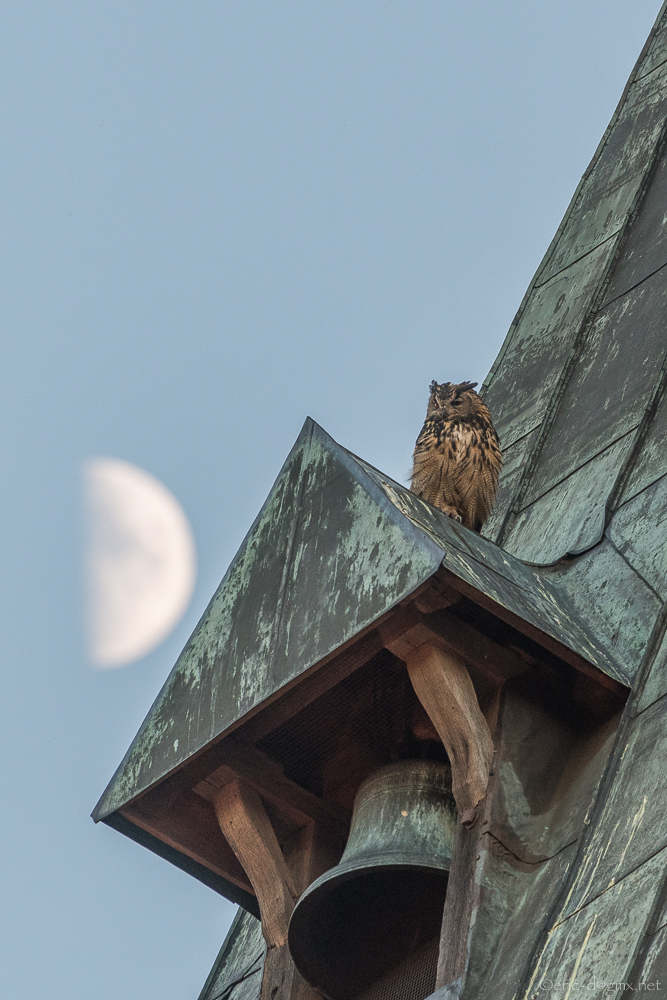 The Guardian of the Bell