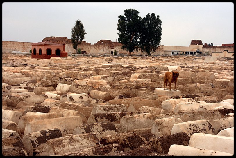 The guardian of the Jewish Cementary in Marrakech