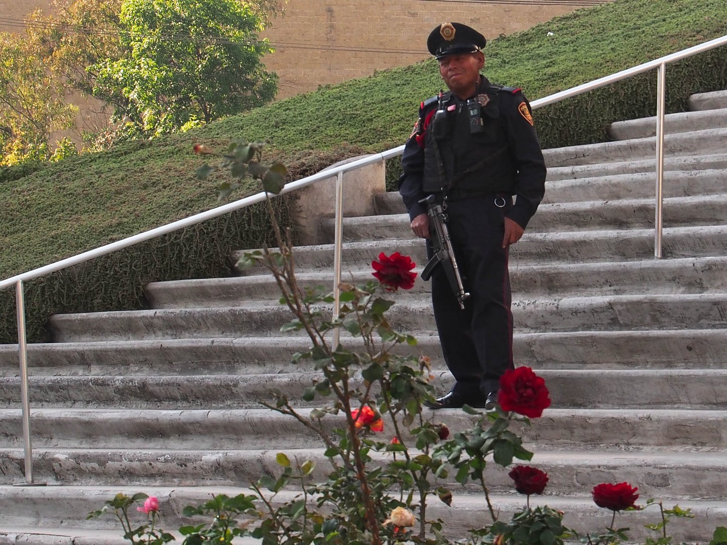 The guardian of the rose - dreaming...