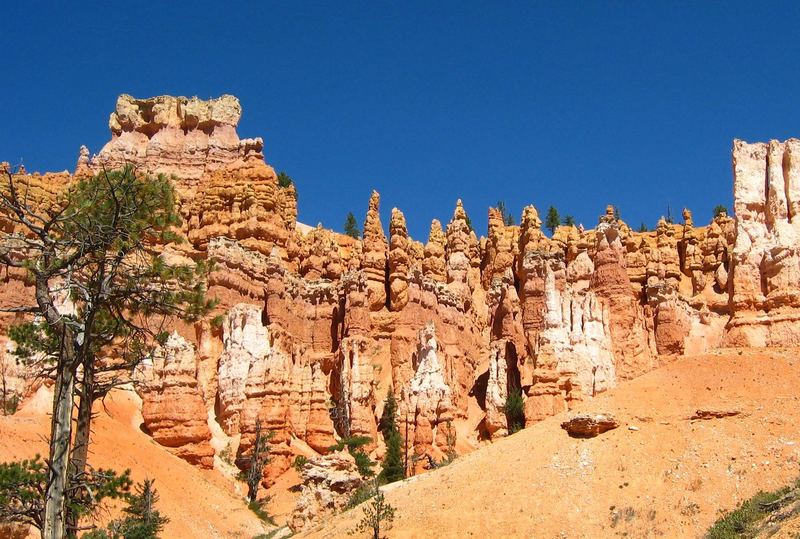 The "Guardians" of Bryce Canyon