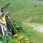 The Guide's bike, Austria 2007