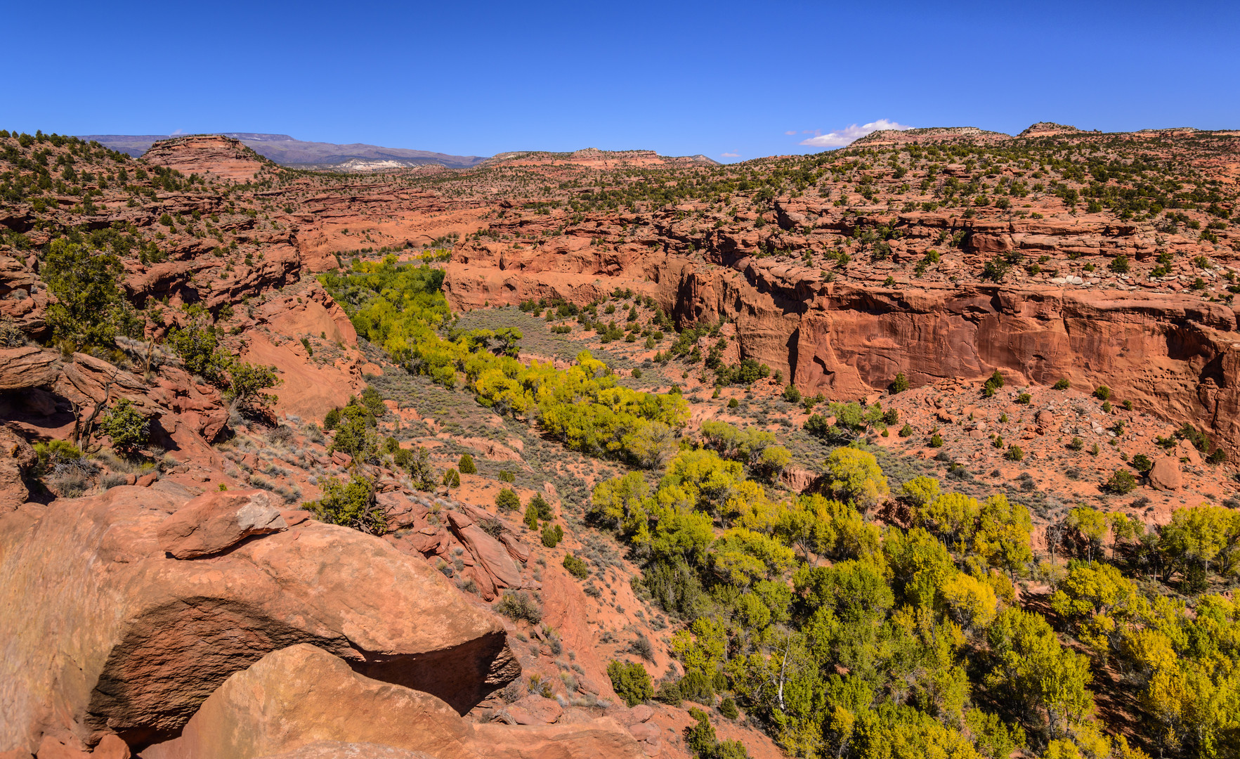 The Gulch Canyon 1 am Burr Trail, Utah, USA