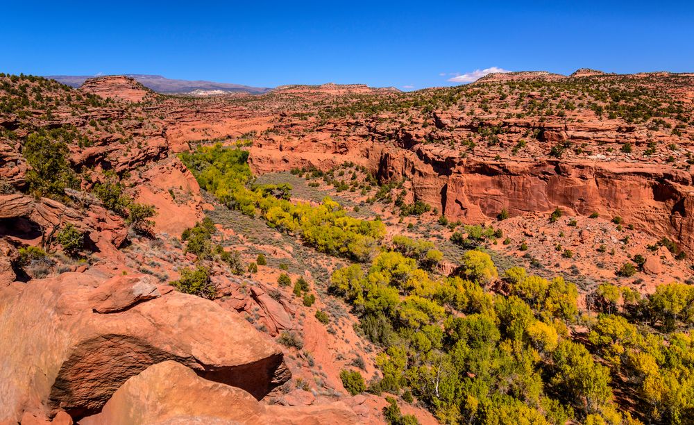 The Gulch Canyon 1 am Burr Trail, Utah, USA