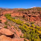 The Gulch Canyon 1 am Burr Trail, Utah, USA