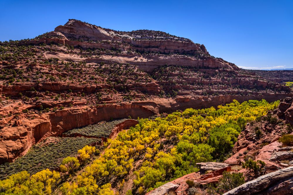 The Gulch Canyon 2 am Burr Trail, Utah, USA