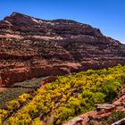 The Gulch Canyon 2 am Burr Trail, Utah, USA