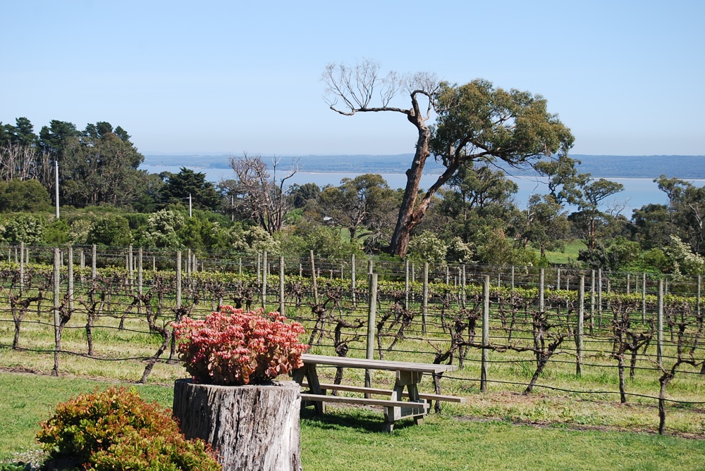 The Gurdies Winery