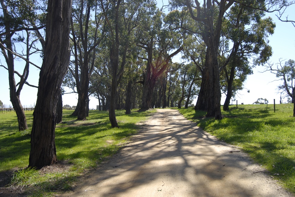 The Gurdies Winery