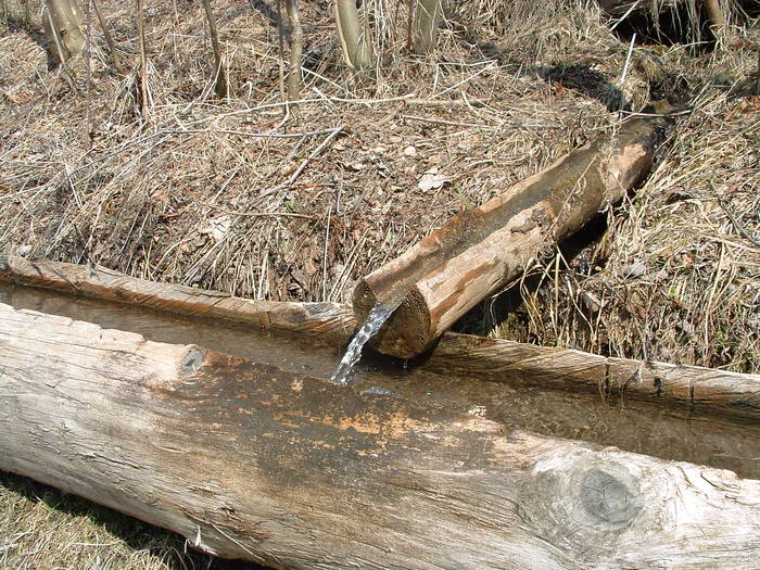 The Gutter - Countryside In The Spring